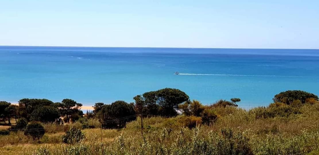 Il Canneto Di Selinunte Маринелла-ді-Селінунте Екстер'єр фото